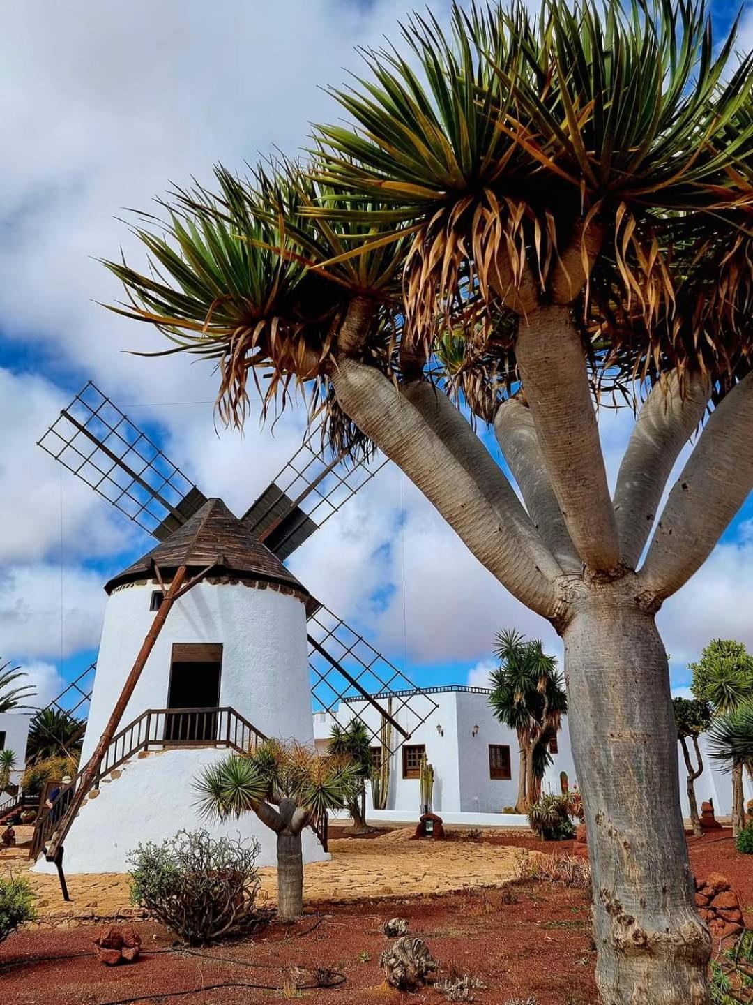 Casa Del Mar Air-Conditioned Apartment With Swimming Pools - Corralejo Playa Εξωτερικό φωτογραφία